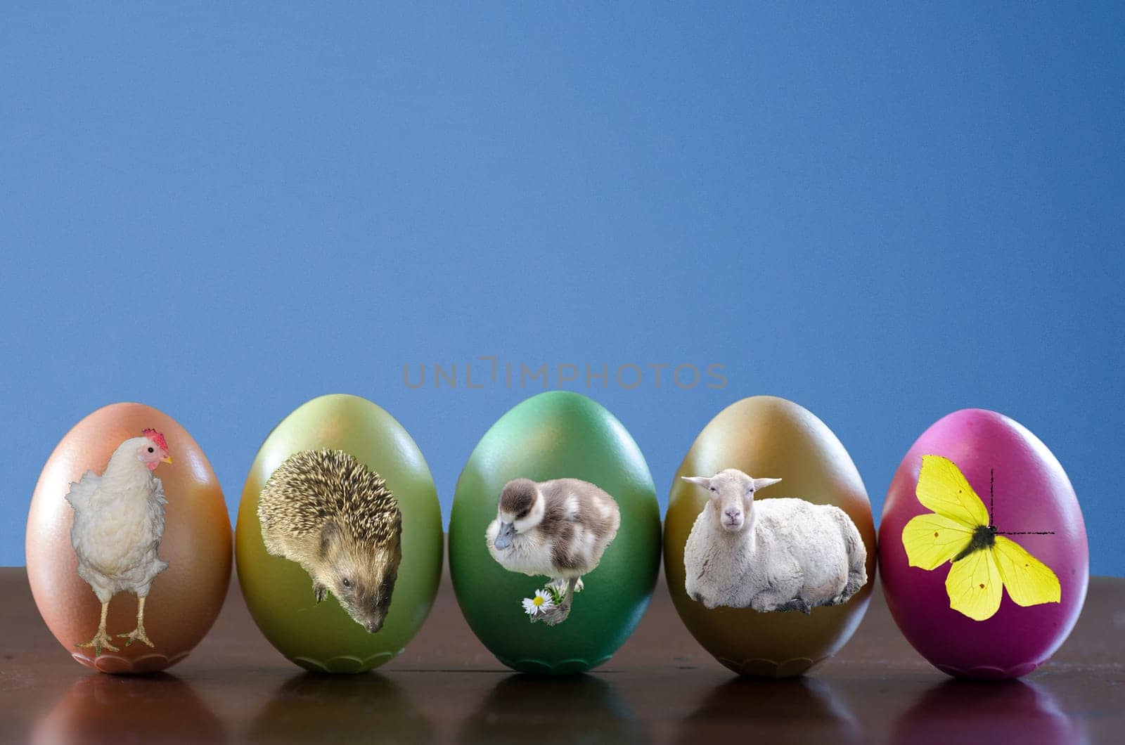 colorful Easter eggs with Easter animals