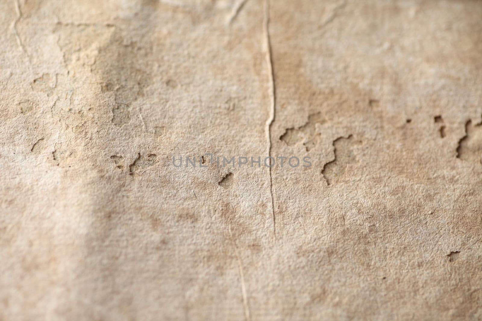 close up view of a damaged page