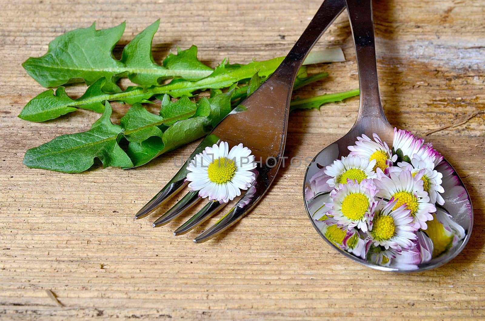 Daisy on a fork on a wooden background
