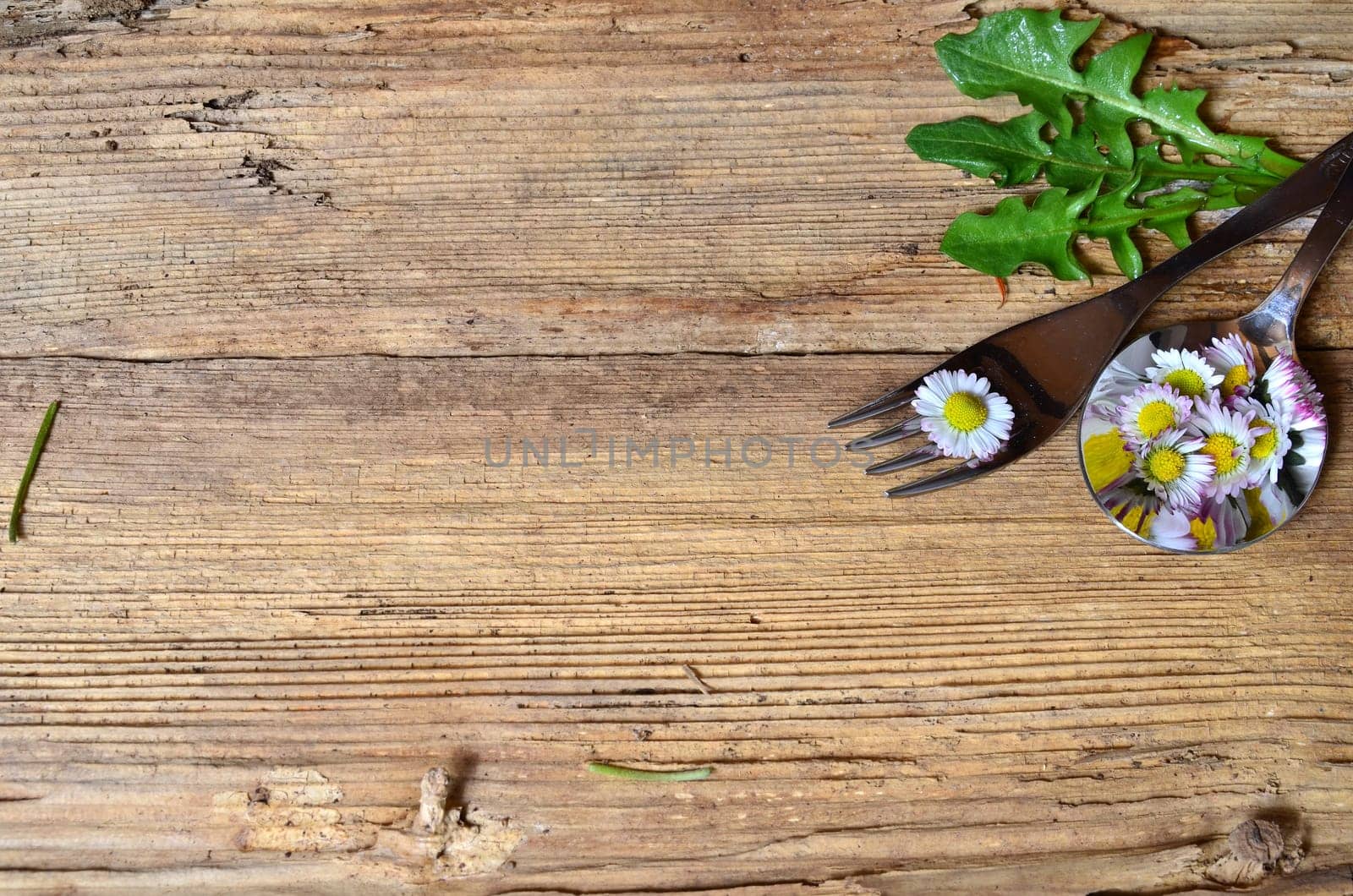 Daisy on a fork on a wooden background