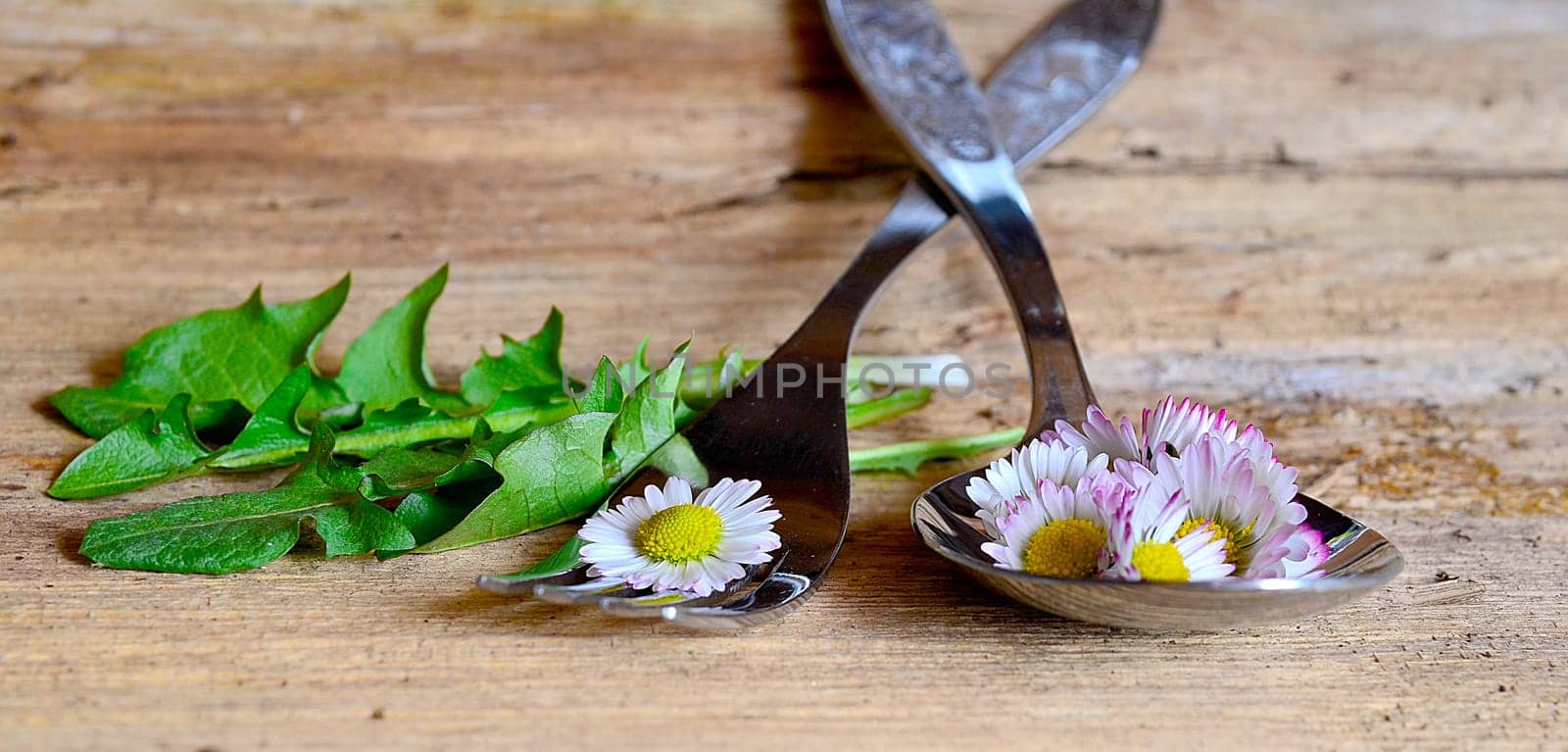 Daisy on a fork on a wooden background