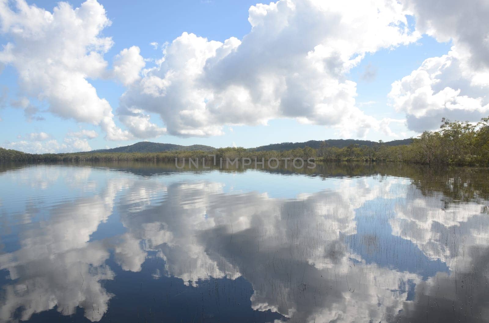 mirroring with clouds over the myall-lake