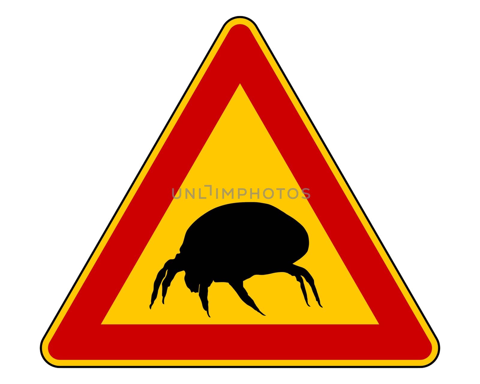 Attention house dust mite