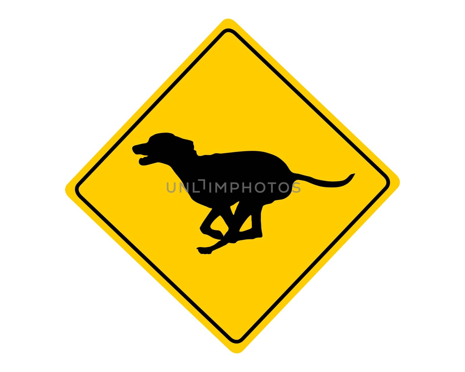 Attention free running dogs