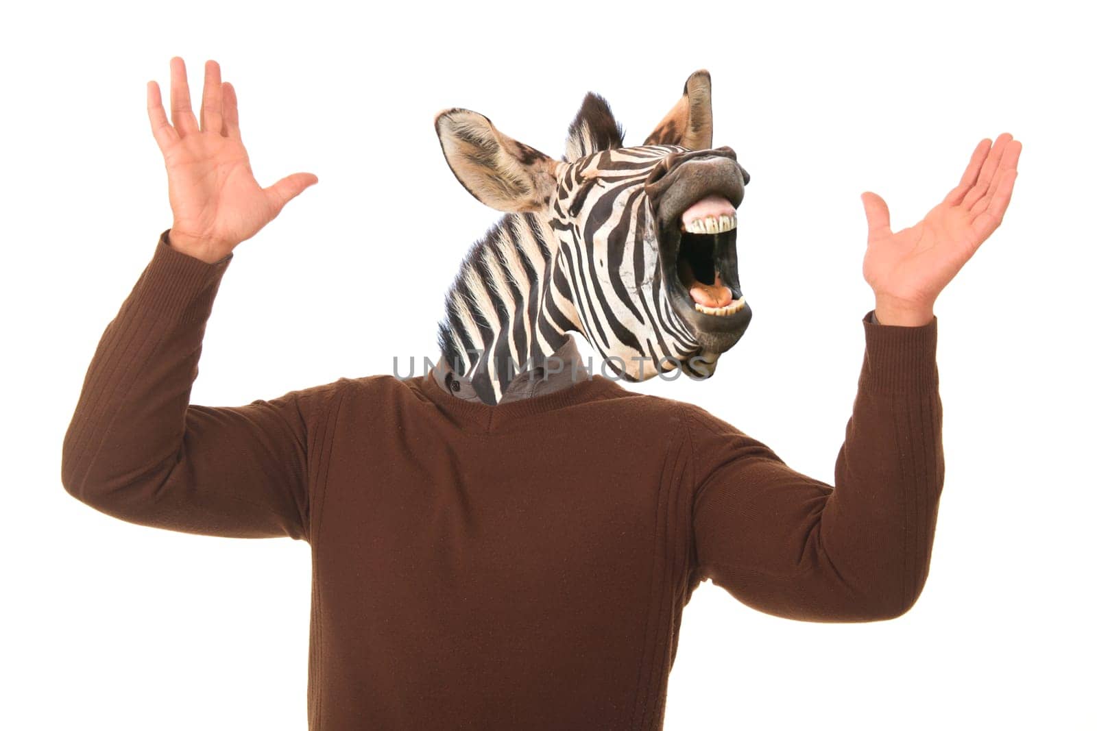 Laughing zebra face on a man's body with hands outstretched