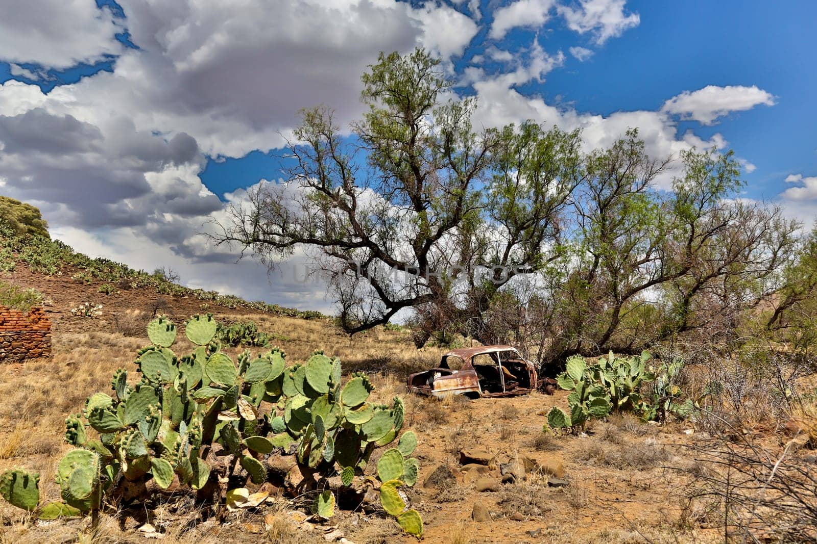 Old deserted wreck of a car in the Karoo in South Africa