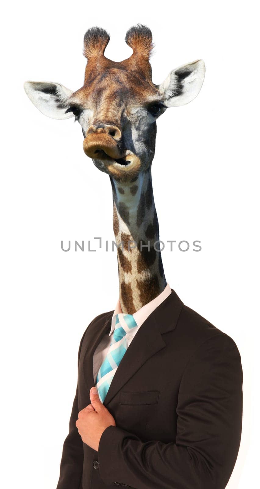 Giraffe with long neck and awkward look on man's body