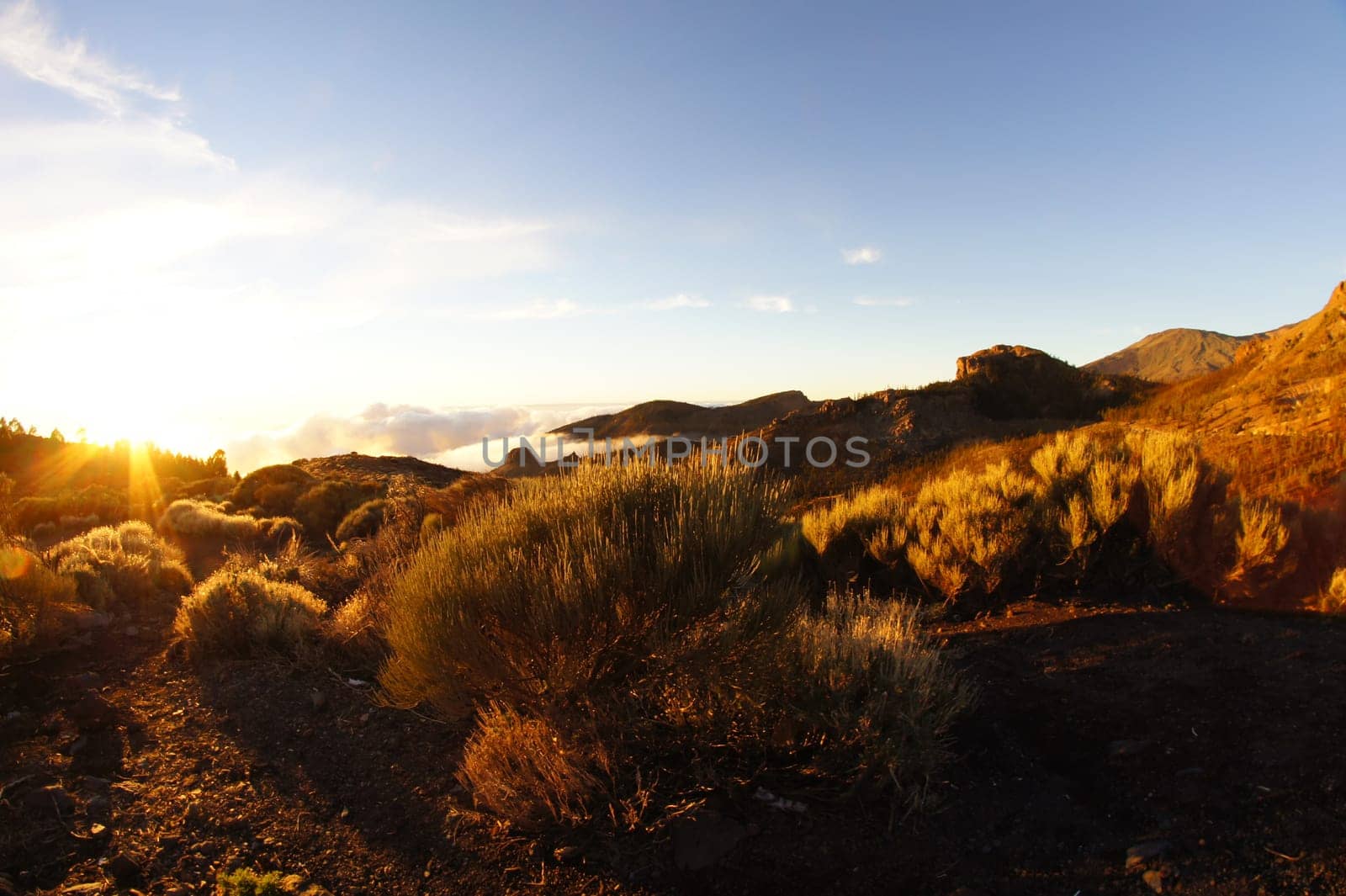 Desert Landscape in Volcan Teide National Park, Tenerife, Canary Island, Spain