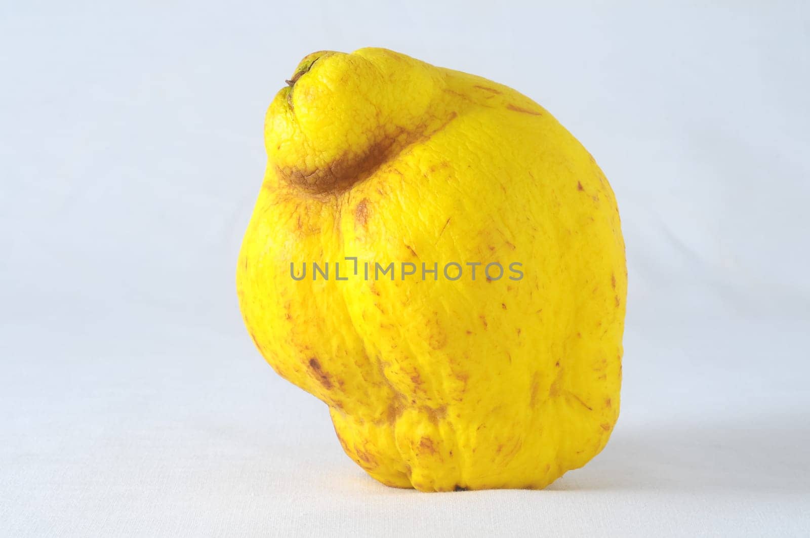 Very Ripe Healthy cedar on a White Background