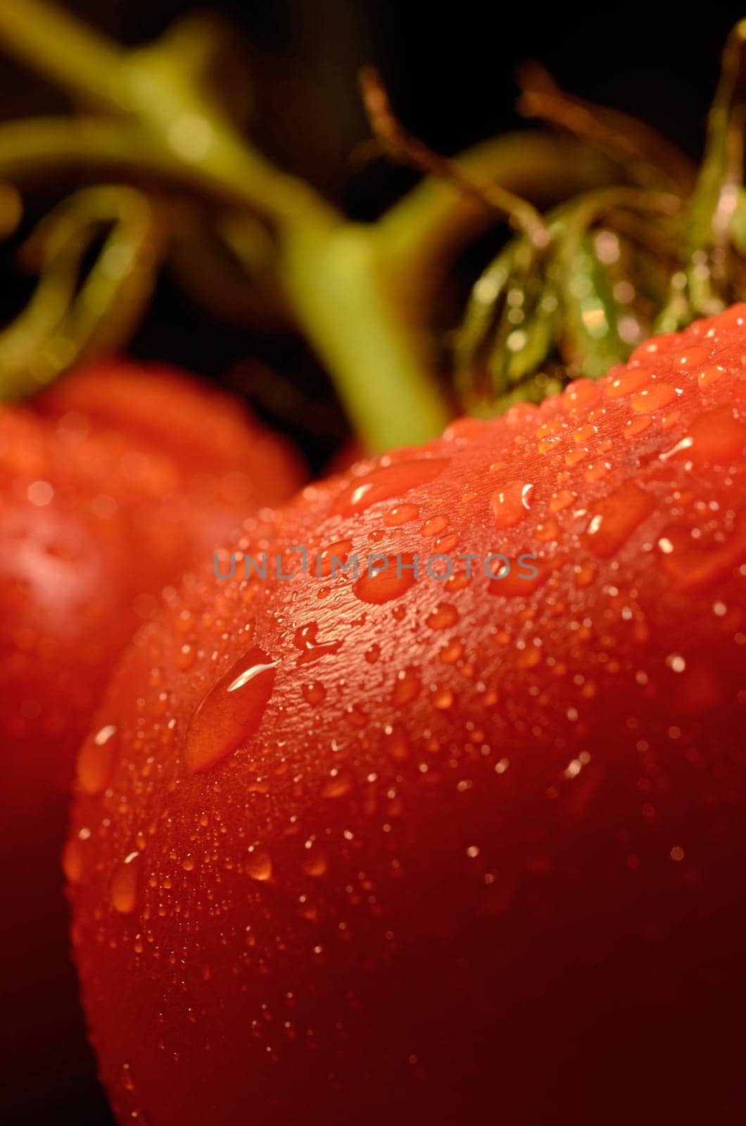 Wet tomatoes