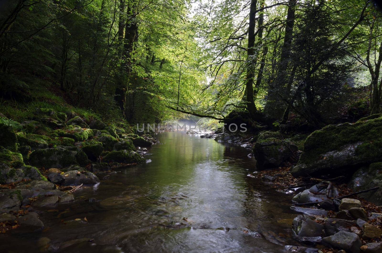 Small spring inside the Navarra's forest in Spain. Shadows of the forest are making this picture interesting and intriguing, also adding little dramatic look. The image is clean and detailed for precise work!