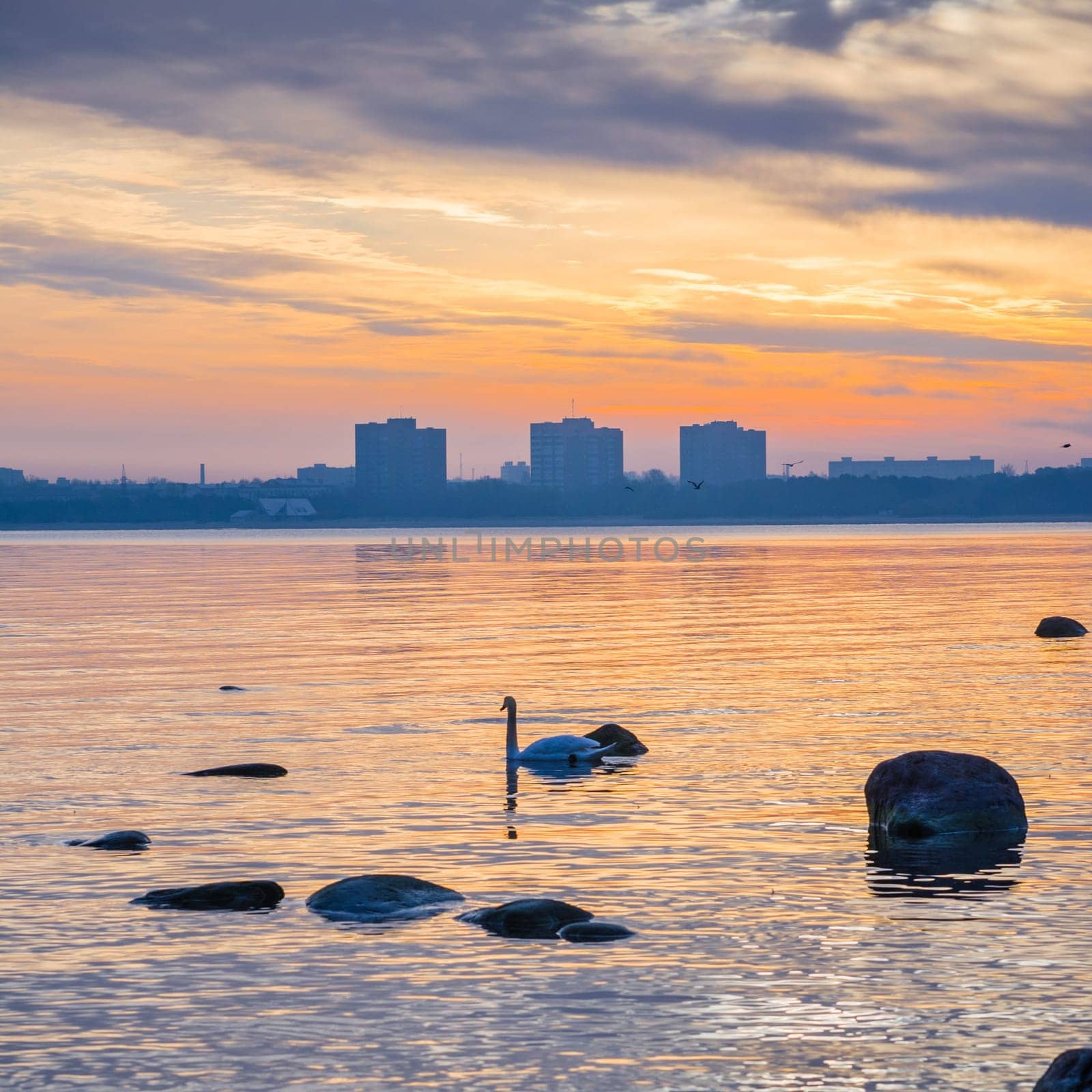 Beautiful sunrise on the sea. Views of Tallinn.