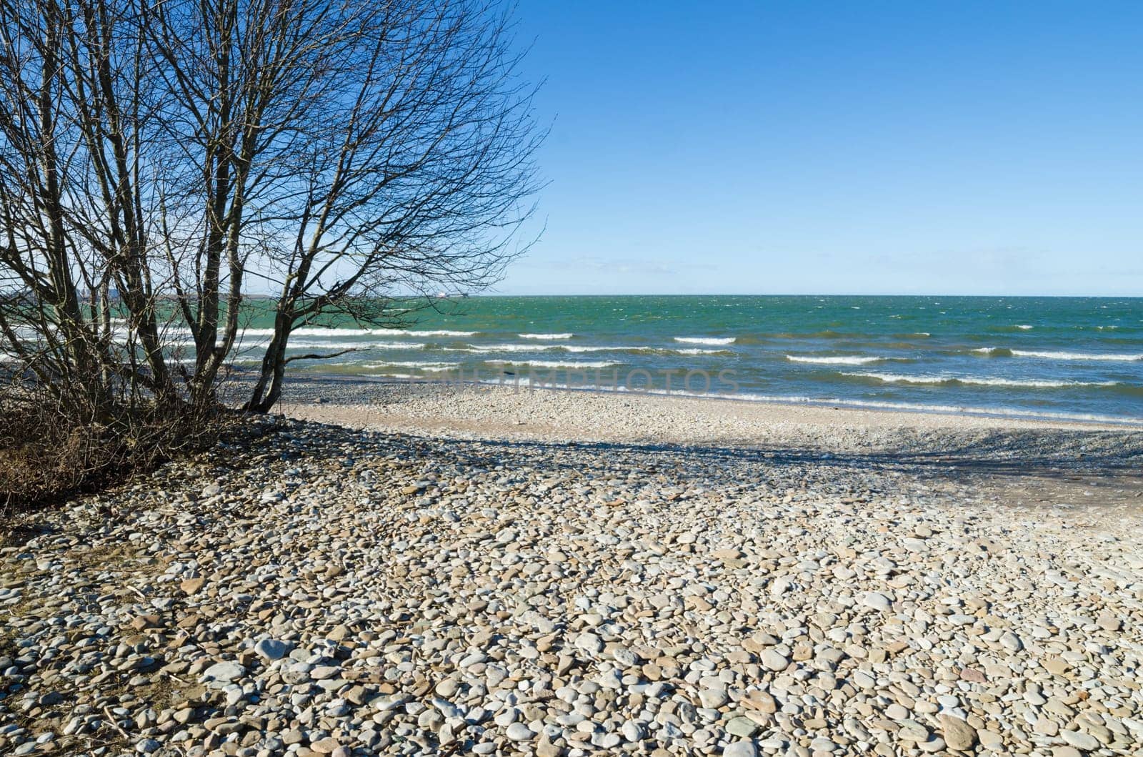 Coast of Baltic sea covered by a pebble