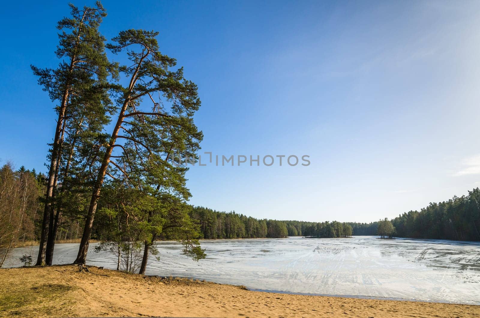Spring landscape at wood lake