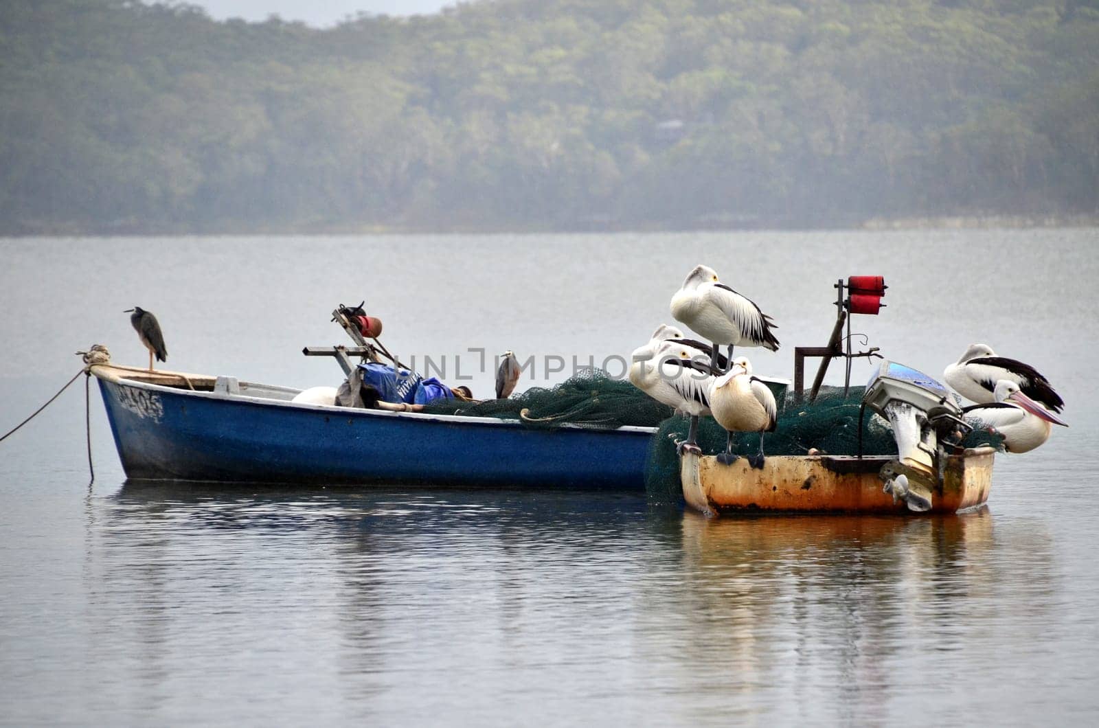 2 boats,various passengers