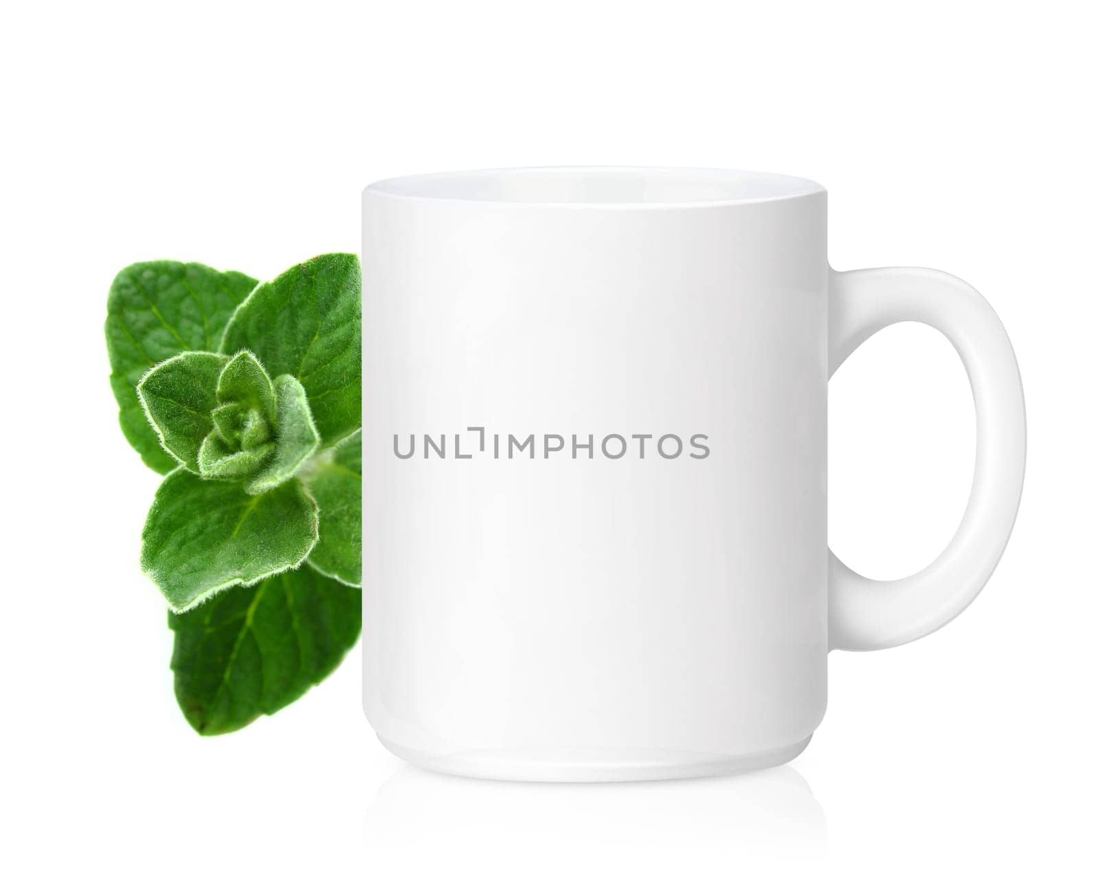 White ceramic mug with Herbs, Herbs Drink,  Isolated on a white. (with clipping work path)