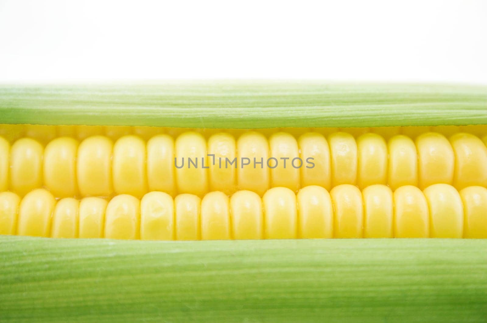 corn cob between green leaves .