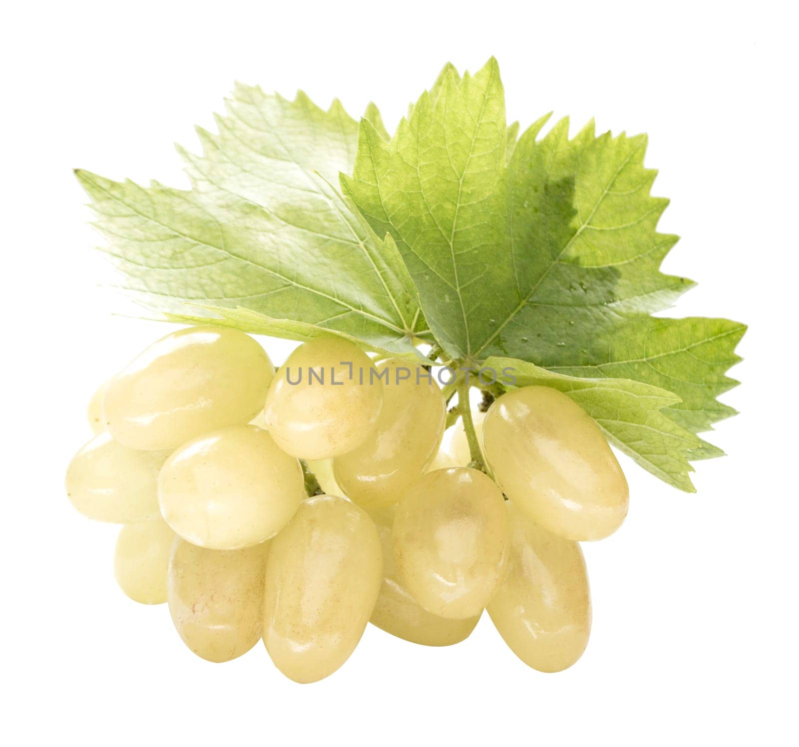 Ripe grapes with leaf, isolated on white background.  (with clipping work path)