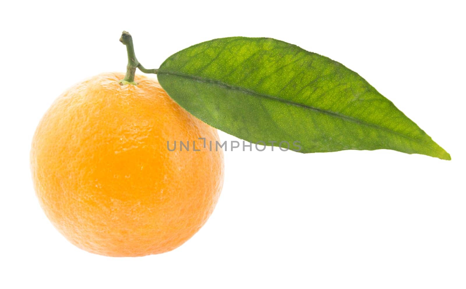 pile of Clementine Mandarin Oranges isolated on a white background (with clipping work path)