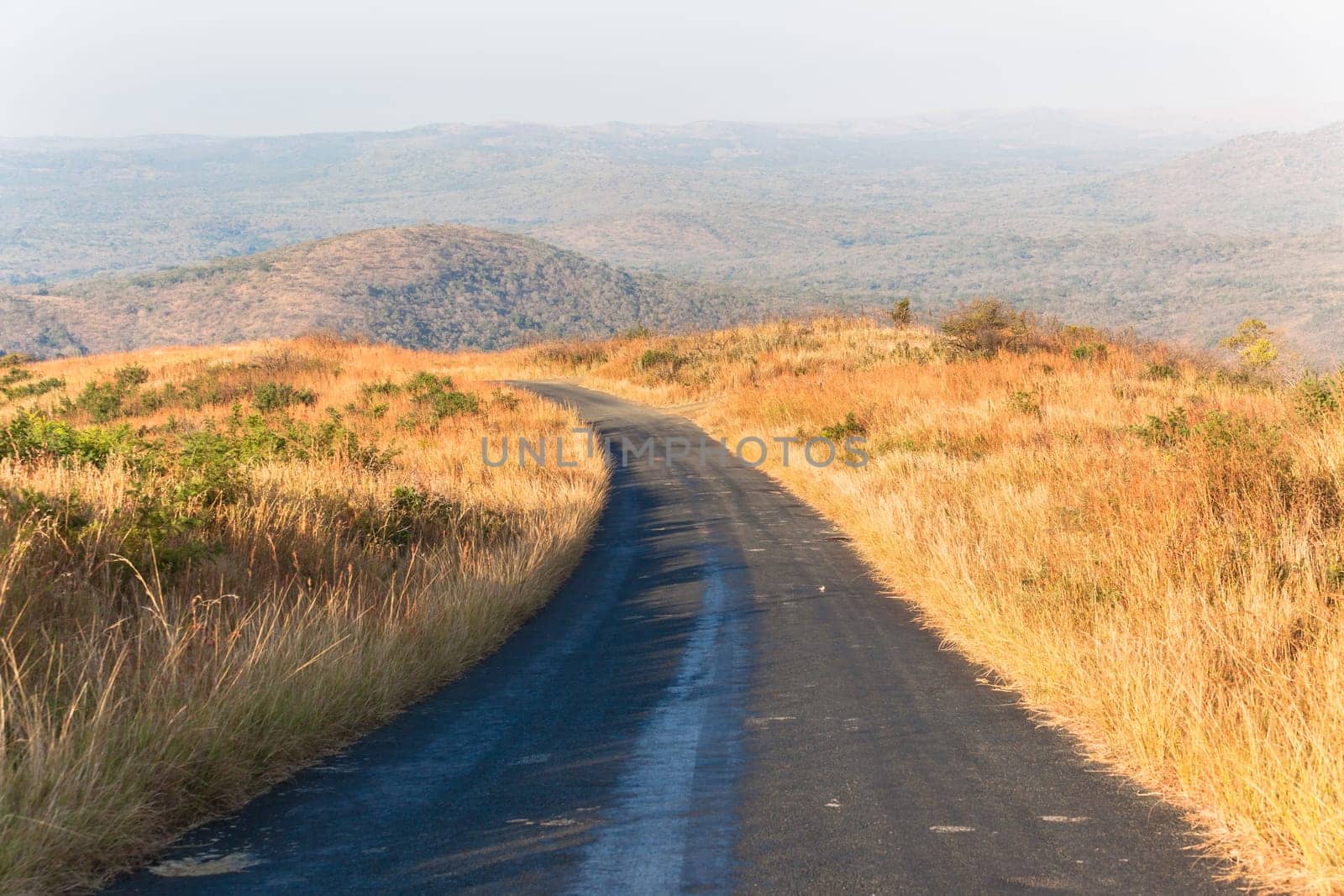 Wilderness terrain road in the rugged wildlife mountain valley landscape vegetation in morning colors through the long grass
