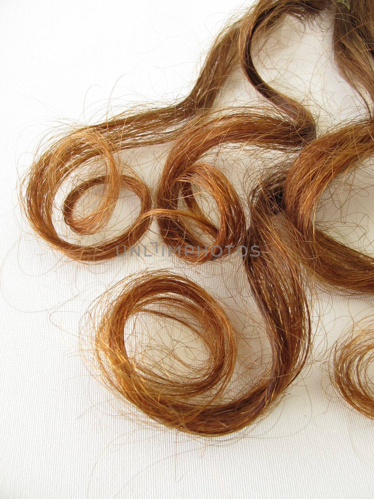 Genuine maroon curls