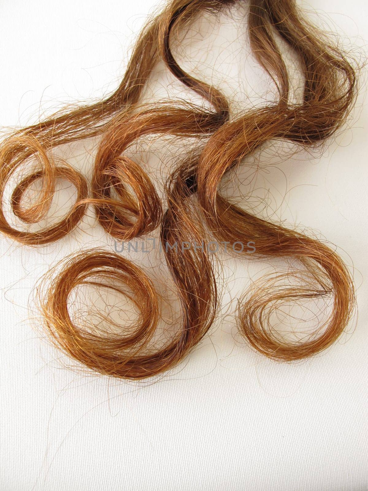 Genuine maroon curls