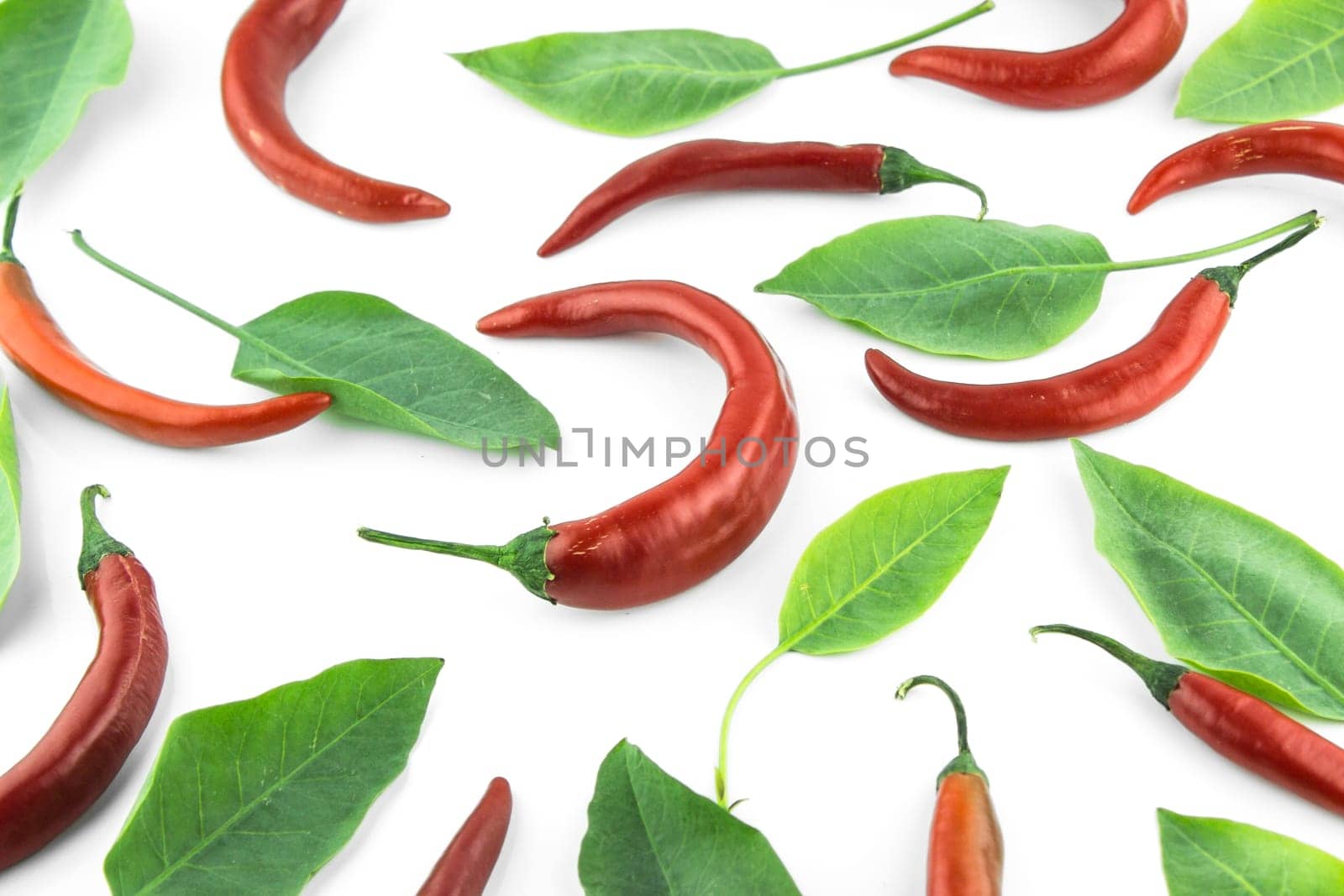 red hot chili pepper with leaves on a white background