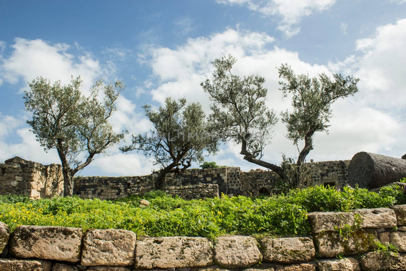 Umm Qais, Gadara City north-west of Jordan