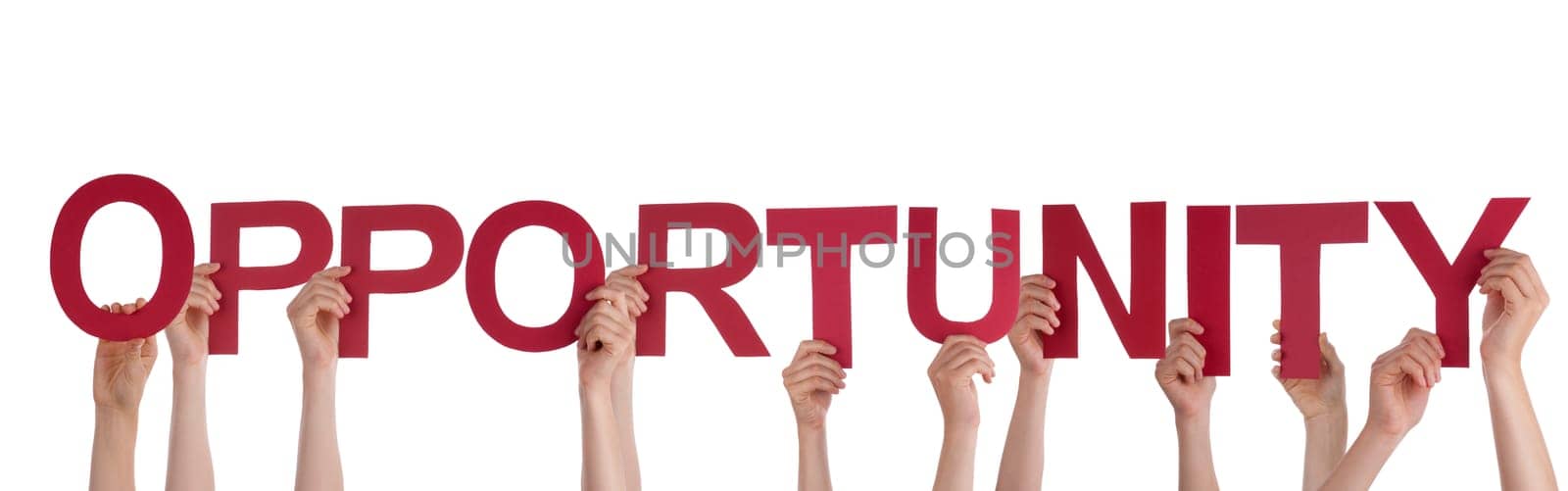 Many Hands Holding the Word Opportunity, Isolated