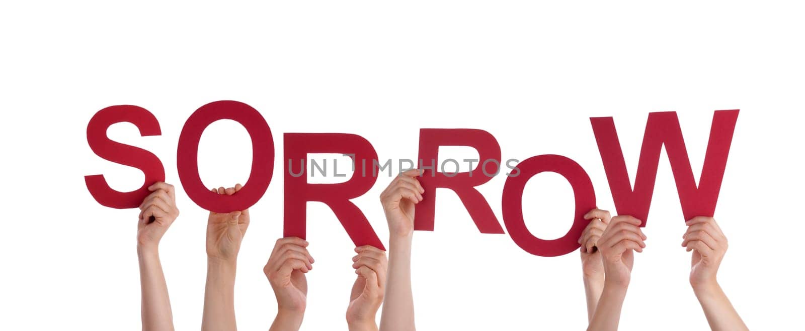 Many Hands Holding the red Word Sorrow, Isolated