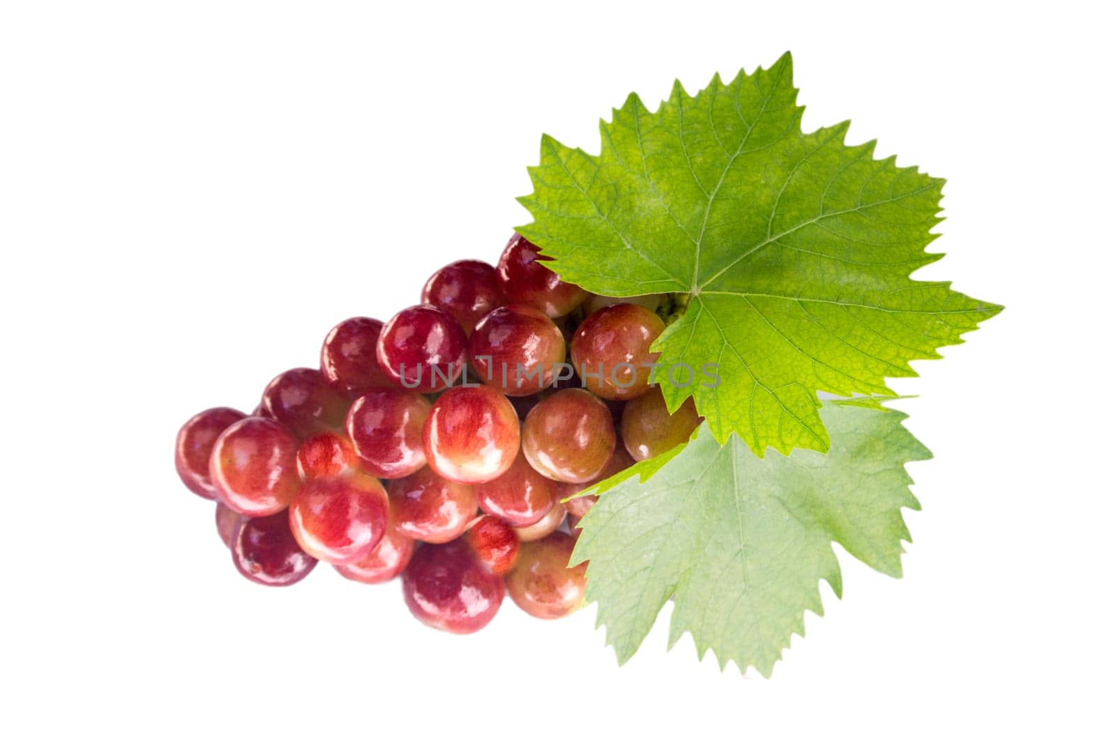 Ripe grapes with leaf, isolated on white background.  (with clipping work path)