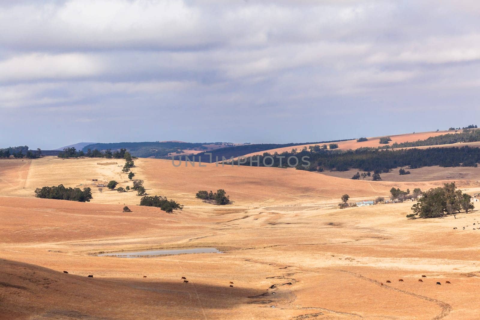 Road color scenic beauty contrast over rural countryside farming landscape