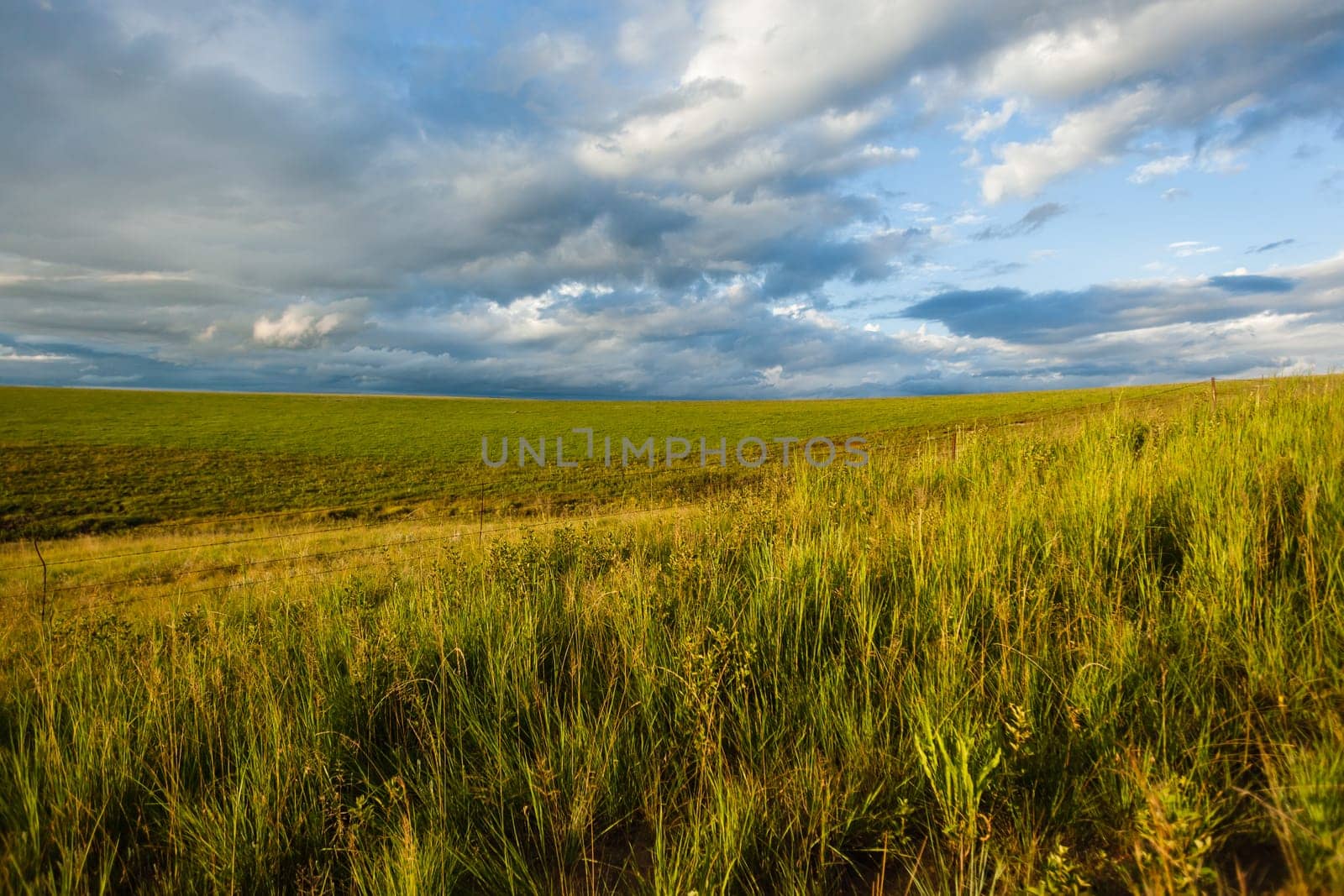 Rugged scenic wilderness mountain landscapes in summer colors of nature to explore