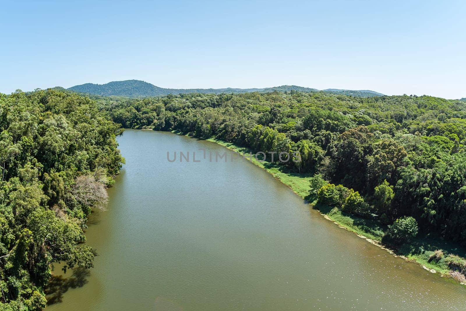 River birds eye view overlooking thick tropical jungle wilderness trees vegetation landscape