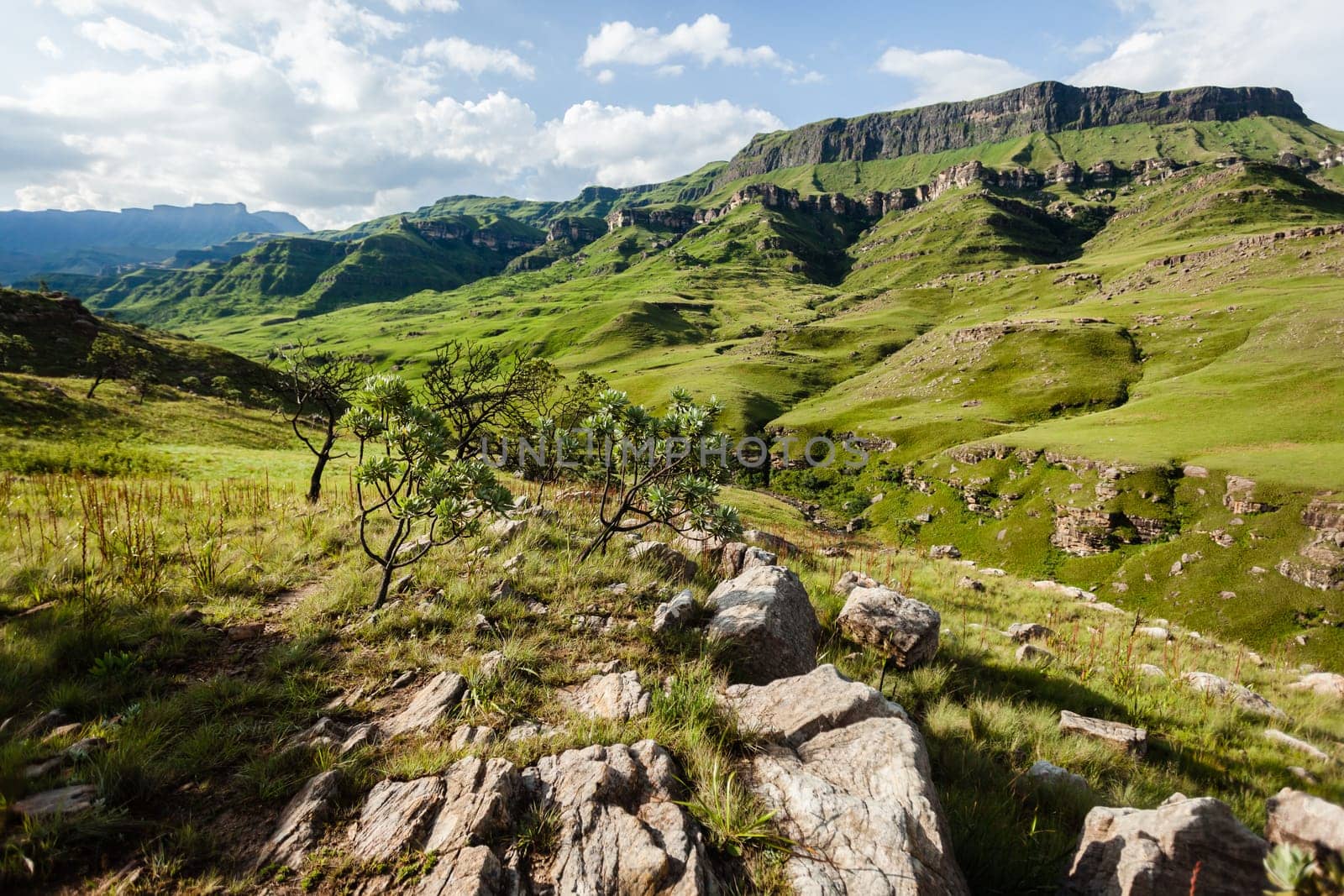 Rugged scenic wilderness mountains in summer colors of nature to explore