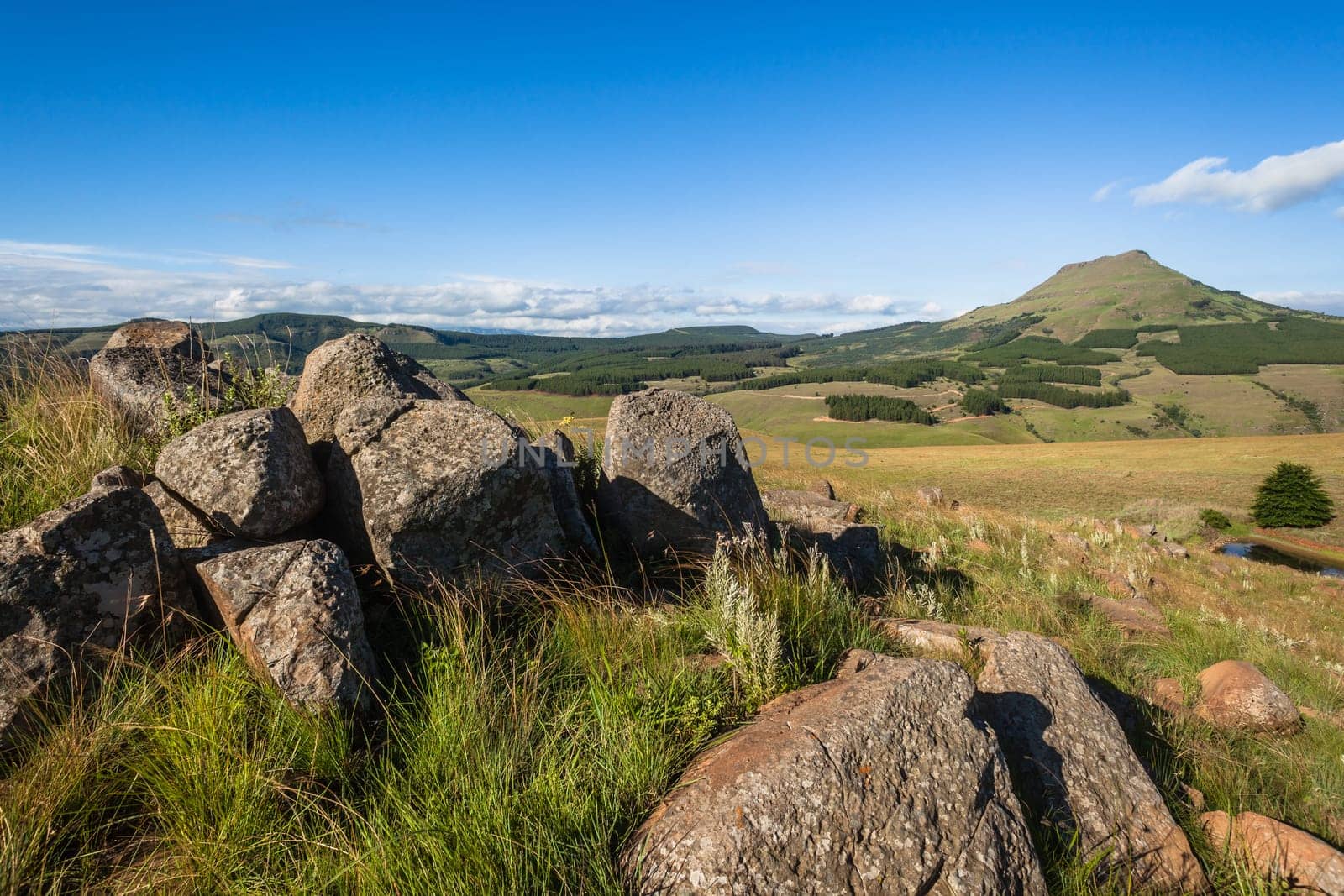 Mountain valley rocky trees landscape in summer green blue  sky day in the Southern Drakensberg mountains South-Africa