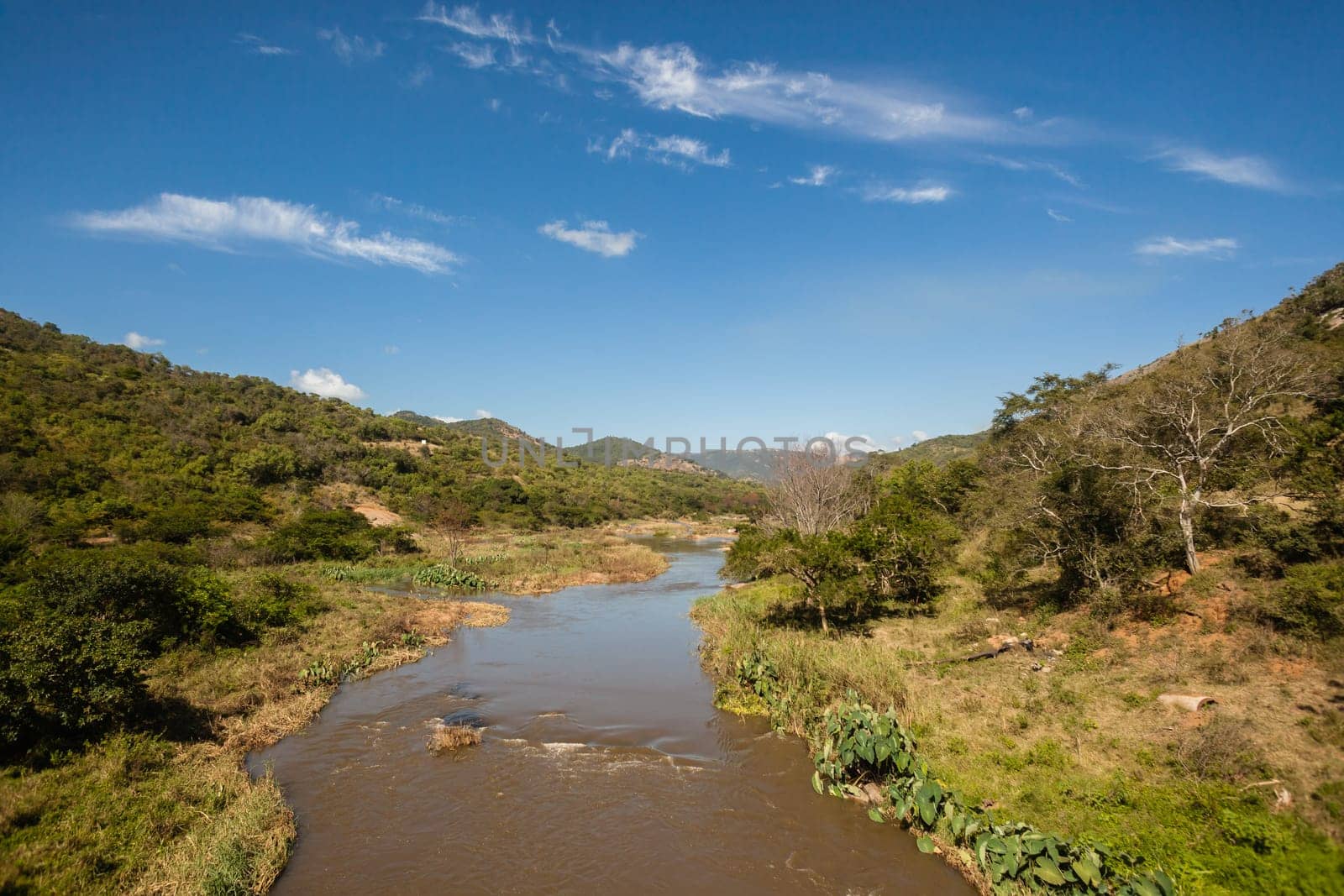 River birds eye view overlooking thick tropical jungle wilderness trees vegetation landscape