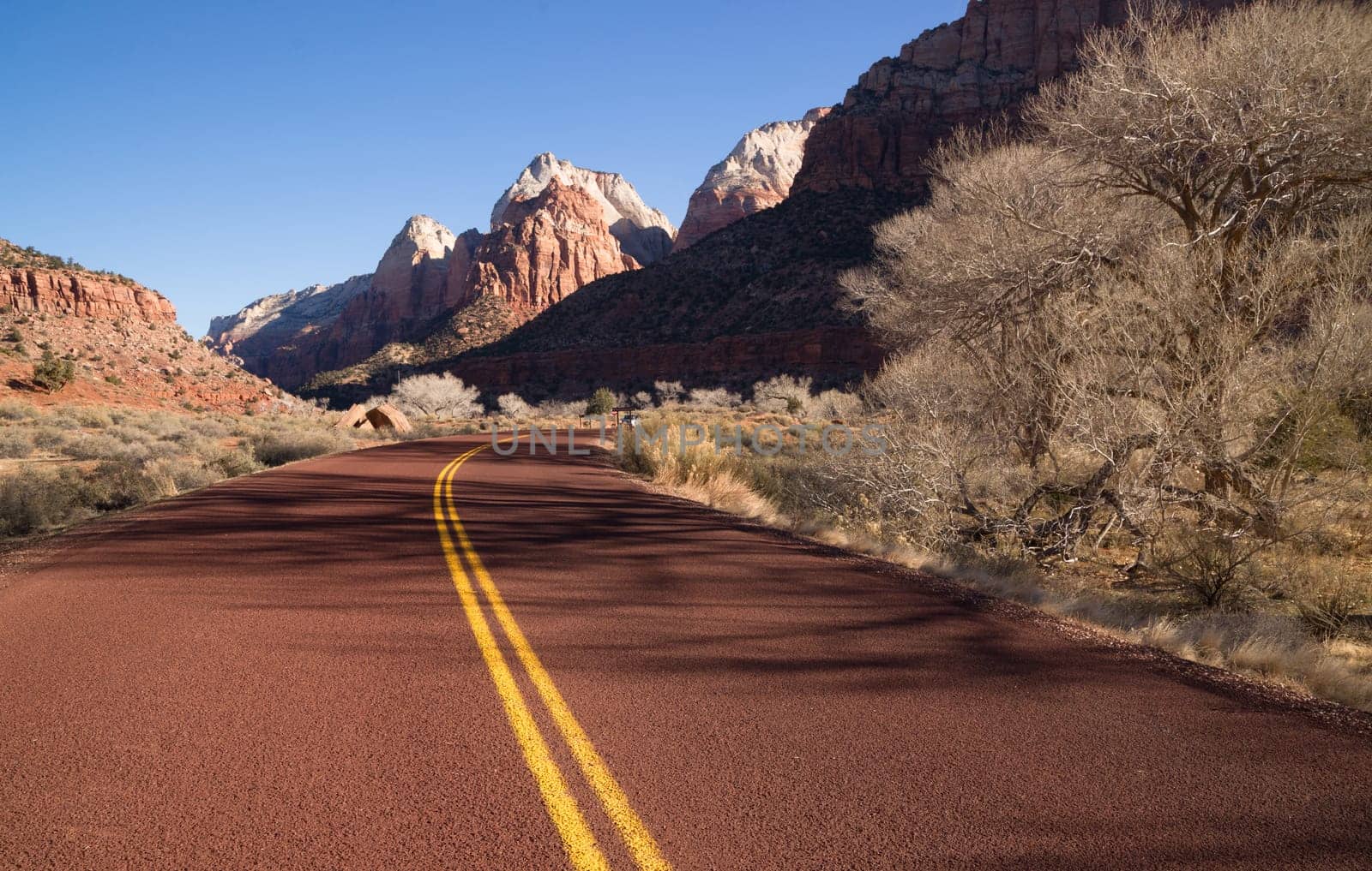 Beautiful overlook down on the road back into Zion National Park