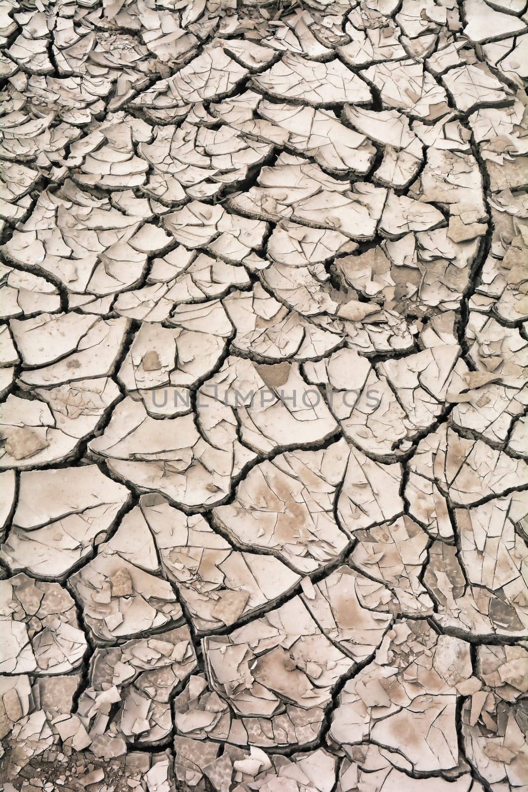 dried up soil
