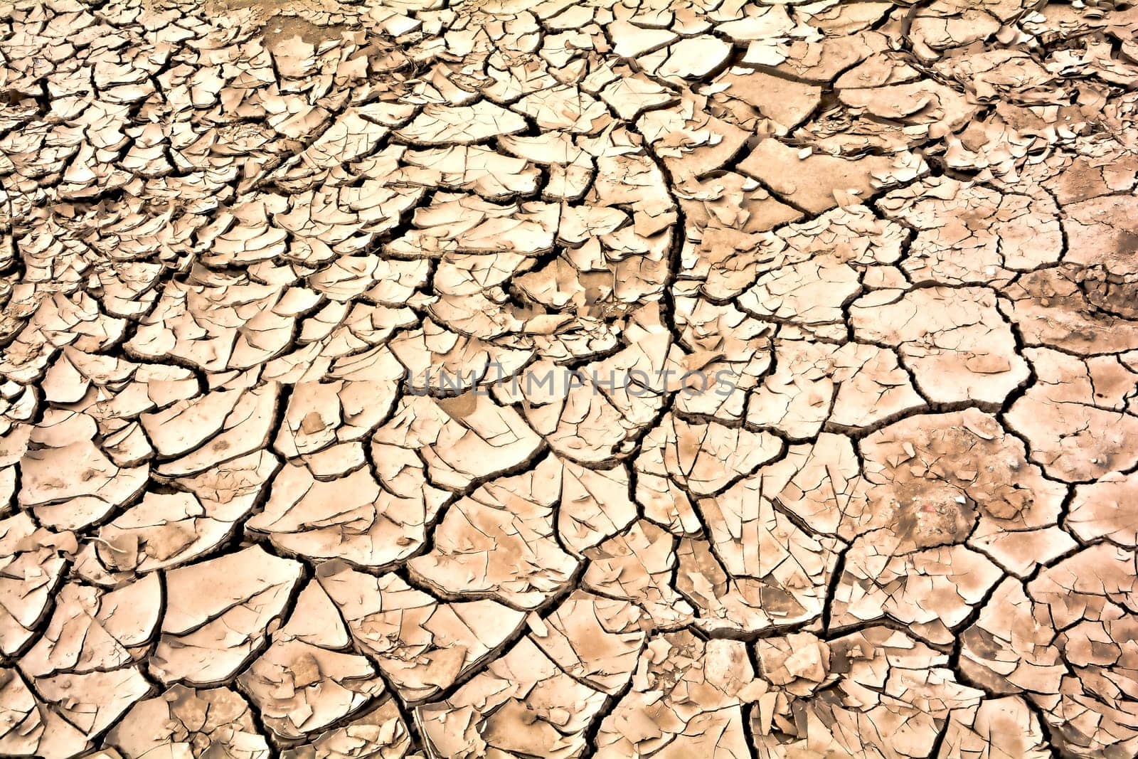 dried up soil