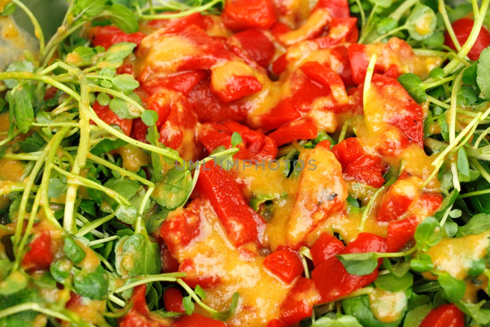 Organic ginger sesame dressing on roasted sweet red peppers and watercress salad up close..
