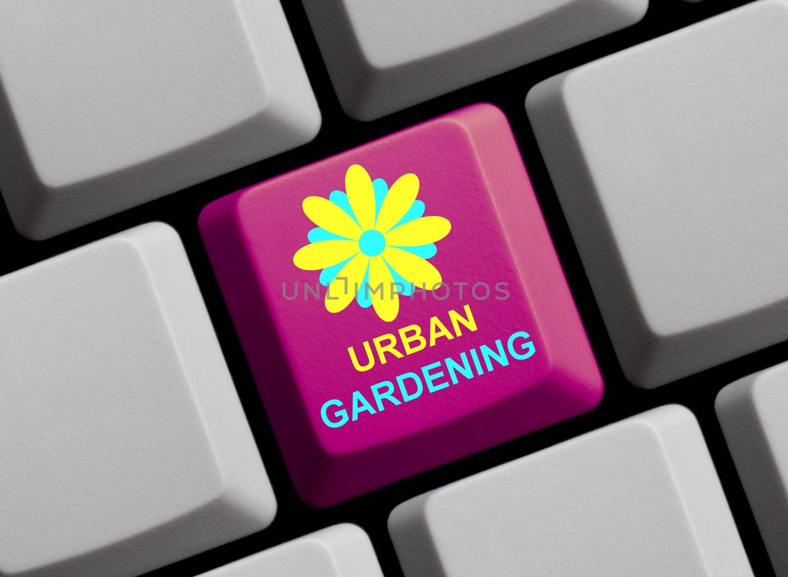 Urban Gardening online