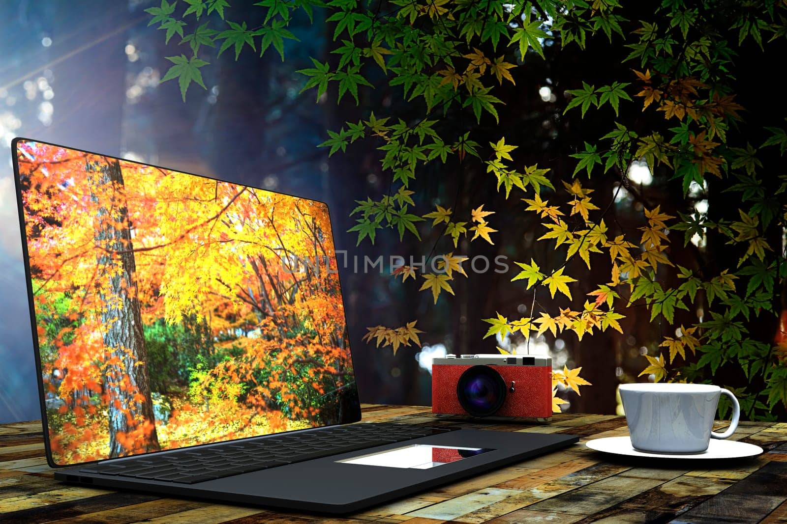 Non-branded generic design with nice maple background