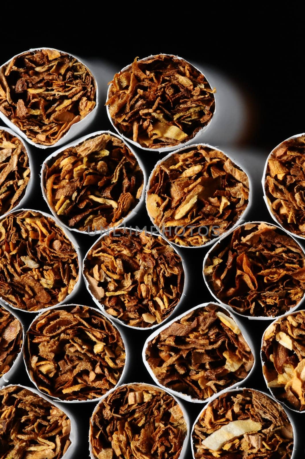 Close-up of Tobacco Cigarettes Background or texture