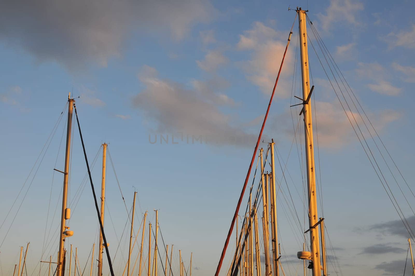 Sail Boats Masts In Port With Sunset Background.