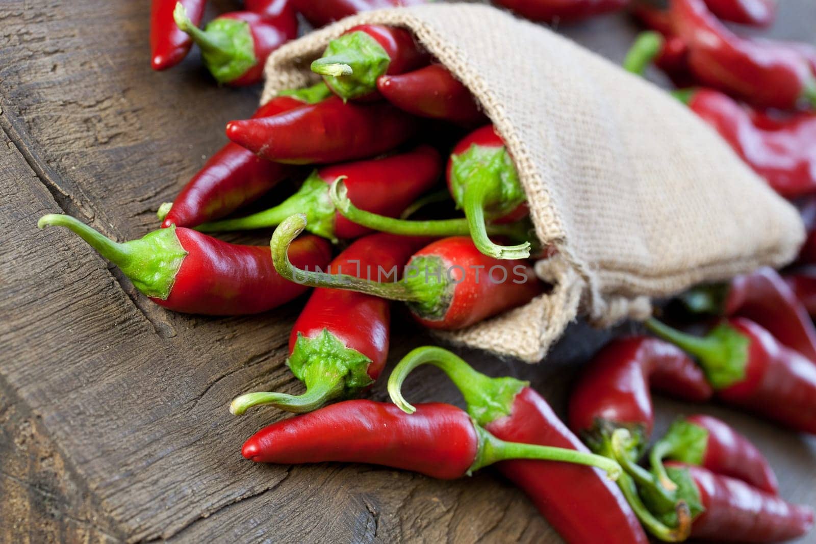 sharp chilischoten