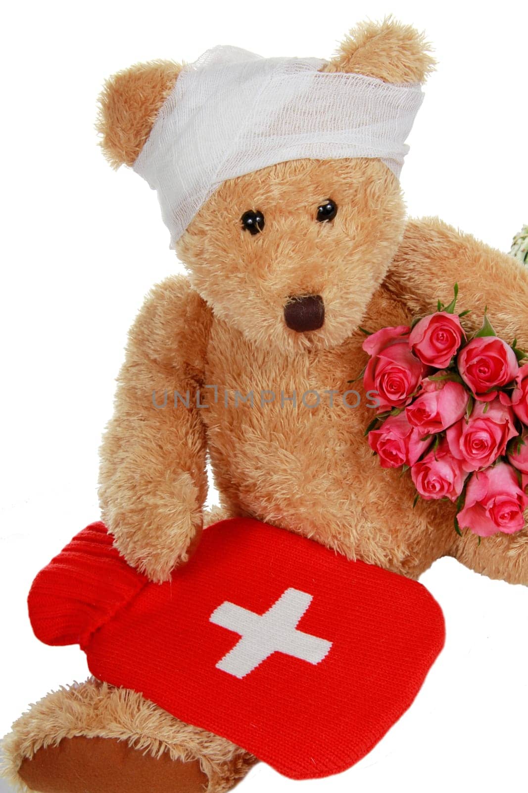 Teddy bear with roses and hot water bottle