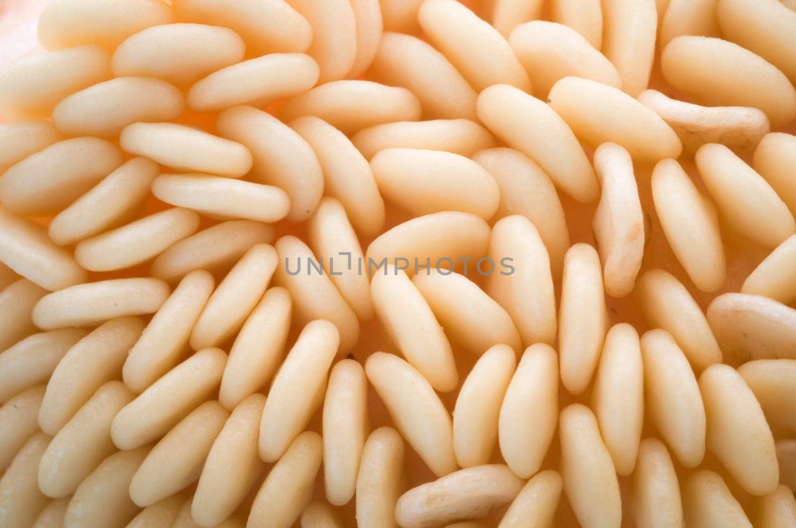 Macro view of the seeds inside a red pepper