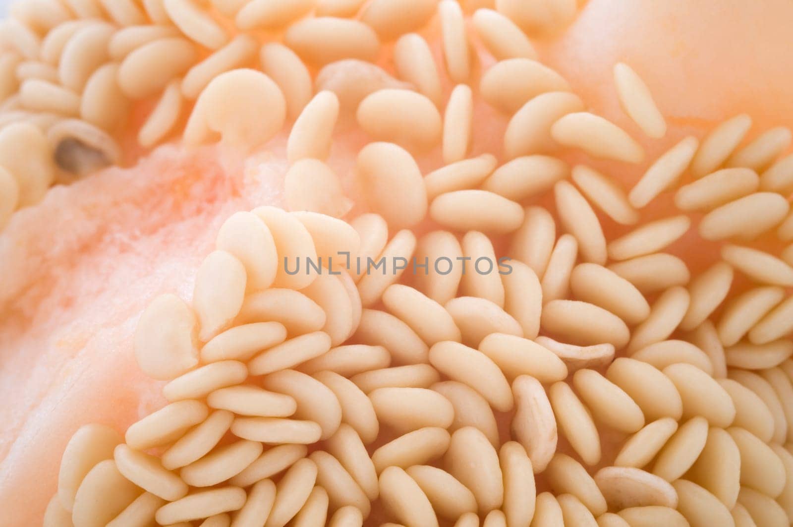 Macro view of the seeds inside a red pepper