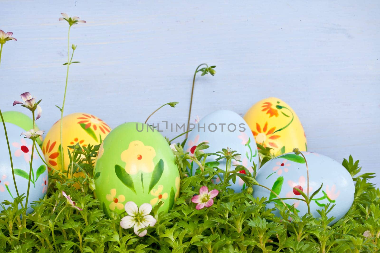 Colorful Easter eggs on grass with small blueten in front of blue